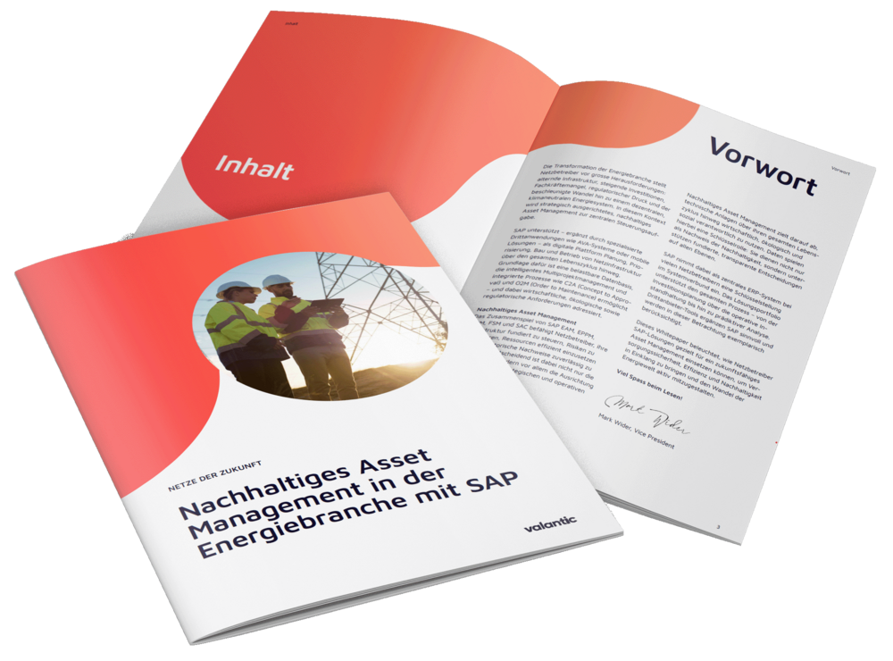 Whitepaper Nachhaltigkeit in der Energiebranche